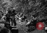 Standbild USA 35th Infantry Division Saint Lo Frankreich, 1944, aus Sekunde 37 historischem Filmmaterial Videoclip 65675051331