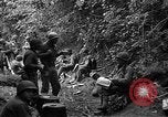 Standbild USA 35th Infantry Division Saint Lo Frankreich, 1944, aus Sekunde 43 historischem Filmmaterial Videoclip 65675051331