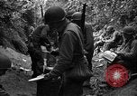 Standbild USA 35th Infantry Division Saint Lo Frankreich, 1944, aus Sekunde 44 historischem Filmmaterial Videoclip 65675051331