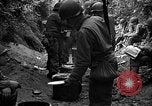 Standbild USA 35th Infantry Division Saint Lo Frankreich, 1944, aus Sekunde 48 historischem Filmmaterial Videoclip 65675051331