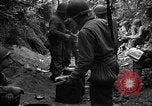 Standbild USA 35th Infantry Division Saint Lo Frankreich, 1944, aus Sekunde 49 historischem Filmmaterial Videoclip 65675051331