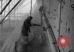 Standbild USA Schiff Langley Philadelphia Pennsylvania USA, 1951, aus Sekunde 57 historischem Filmmaterial Videoclip 65675051349