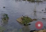 Immagine di Stati Uniti HUP 2 elicottero Tampico Messico, 1955, secondo 29 filmato di repertorio 65675051361