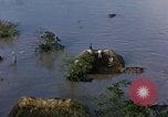 Immagine di Stati Uniti HUP 2 elicottero Tampico Messico, 1955, secondo 33 filmato di repertorio 65675051361