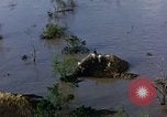 Immagine di Stati Uniti HUP 2 elicottero Tampico Messico, 1955, secondo 36 filmato di repertorio 65675051361