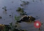 Immagine di Stati Uniti HUP 2 elicottero Tampico Messico, 1955, secondo 37 filmato di repertorio 65675051361