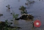 Immagine di Stati Uniti HUP 2 elicottero Tampico Messico, 1955, secondo 38 filmato di repertorio 65675051361