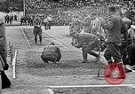 Standbild Allied Athleten Joinville Le Pont Frankreich, 1919, aus Sekunde 17 historischem Filmmaterial Videoclip 65675051374