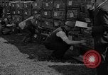 Standbild Brieftauben Selby England, 1936, aus Sekunde 10 historischem Filmmaterial Videoclip 65675051381