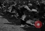 Standbild Brieftauben Selby England, 1936, aus Sekunde 11 historischem Filmmaterial Videoclip 65675051381