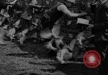 Standbild Brieftauben Selby England, 1936, aus Sekunde 12 historischem Filmmaterial Videoclip 65675051381