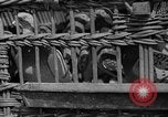 Standbild Brieftauben Selby England, 1936, aus Sekunde 17 historischem Filmmaterial Videoclip 65675051381
