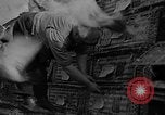 Standbild Brieftauben Selby England, 1936, aus Sekunde 19 historischem Filmmaterial Videoclip 65675051381