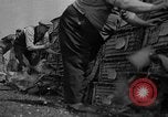 Standbild Brieftauben Selby England, 1936, aus Sekunde 21 historischem Filmmaterial Videoclip 65675051381