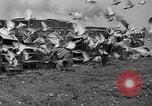 Standbild Brieftauben Selby England, 1936, aus Sekunde 26 historischem Filmmaterial Videoclip 65675051381
