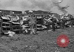 Standbild Brieftauben Selby England, 1936, aus Sekunde 29 historischem Filmmaterial Videoclip 65675051381