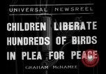 Immagine di Gli uccelli Messico, 1936, secondo 1 filmato di repertorio 65675051388