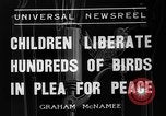 Immagine di Gli uccelli Messico, 1936, secondo 8 filmato di repertorio 65675051388