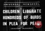 Immagine di Gli uccelli Messico, 1936, secondo 9 filmato di repertorio 65675051388