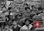 Immagine di Gli uccelli Messico, 1936, secondo 12 filmato di repertorio 65675051388