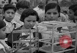 Immagine di Gli uccelli Messico, 1936, secondo 13 filmato di repertorio 65675051388