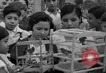 Immagine di Gli uccelli Messico, 1936, secondo 14 filmato di repertorio 65675051388