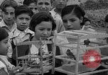 Immagine di Gli uccelli Messico, 1936, secondo 15 filmato di repertorio 65675051388