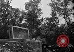 Immagine di Gli uccelli Messico, 1936, secondo 19 filmato di repertorio 65675051388