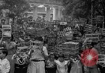 Immagine di Gli uccelli Messico, 1936, secondo 22 filmato di repertorio 65675051388
