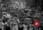 Immagine di Gli uccelli Messico, 1936, secondo 24 filmato di repertorio 65675051388