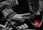 Immagine di Gli uccelli Messico, 1936, secondo 30 filmato di repertorio 65675051388