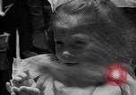 Immagine di Gli uccelli Messico, 1936, secondo 35 filmato di repertorio 65675051388