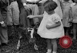 Image veau Hatfield Pennsylvania USA, 1936, de la seconde 16 séquences d'archives historiques vidéo 65675051393