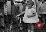 Image veau Hatfield Pennsylvania USA, 1936, de la seconde 17 séquences d'archives historiques vidéo 65675051393