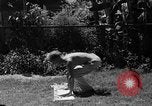 Image Procureur Mering Hollywood Los Angeles California USA, 1936, de la seconde 55 séquences d'archives historiques vidéo 65675051394