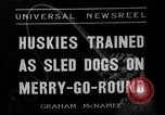 Image of Huskies Wonalancet New Hampshire USA, 1936, second 1 stock footage video 65675051396