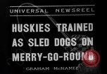 Image of Huskies Wonalancet New Hampshire USA, 1936, second 3 stock footage video 65675051396