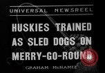 Image of Huskies Wonalancet New Hampshire USA, 1936, second 5 stock footage video 65675051396