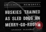 Image of Huskies Wonalancet New Hampshire USA, 1936, second 7 stock footage video 65675051396