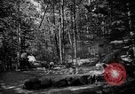 Image of Huskies Wonalancet New Hampshire USA, 1936, second 11 stock footage video 65675051396