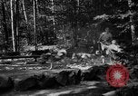 Image of Huskies Wonalancet New Hampshire USA, 1936, second 14 stock footage video 65675051396