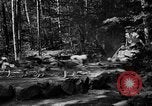 Image of Huskies Wonalancet New Hampshire USA, 1936, second 15 stock footage video 65675051396