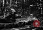 Image of Huskies Wonalancet New Hampshire USA, 1936, second 16 stock footage video 65675051396
