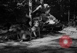Image of Huskies Wonalancet New Hampshire USA, 1936, second 18 stock footage video 65675051396