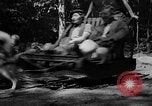 Image of Huskies Wonalancet New Hampshire USA, 1936, second 19 stock footage video 65675051396
