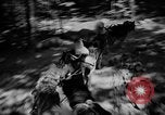 Image of Huskies Wonalancet New Hampshire USA, 1936, second 35 stock footage video 65675051396