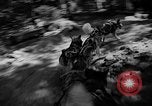 Image of Huskies Wonalancet New Hampshire USA, 1936, second 36 stock footage video 65675051396