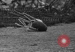 Standbild Luftschiff Hindenburg Lakehurst New Jersey USA, 1937, aus Sekunde 55 historischem Filmmaterial Videoclip 65675051400