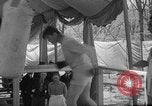 Immagine di Jim Braddock vs Joe Louis Golfmore Michigan USA, 1937, secondo 10 filmato di repertorio 65675051414