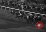 Immagine di War Admiral vincendo il Preakness Stakes Baltimore Maryland USA, 1937, secondo 36 filmato di repertorio 65675051417